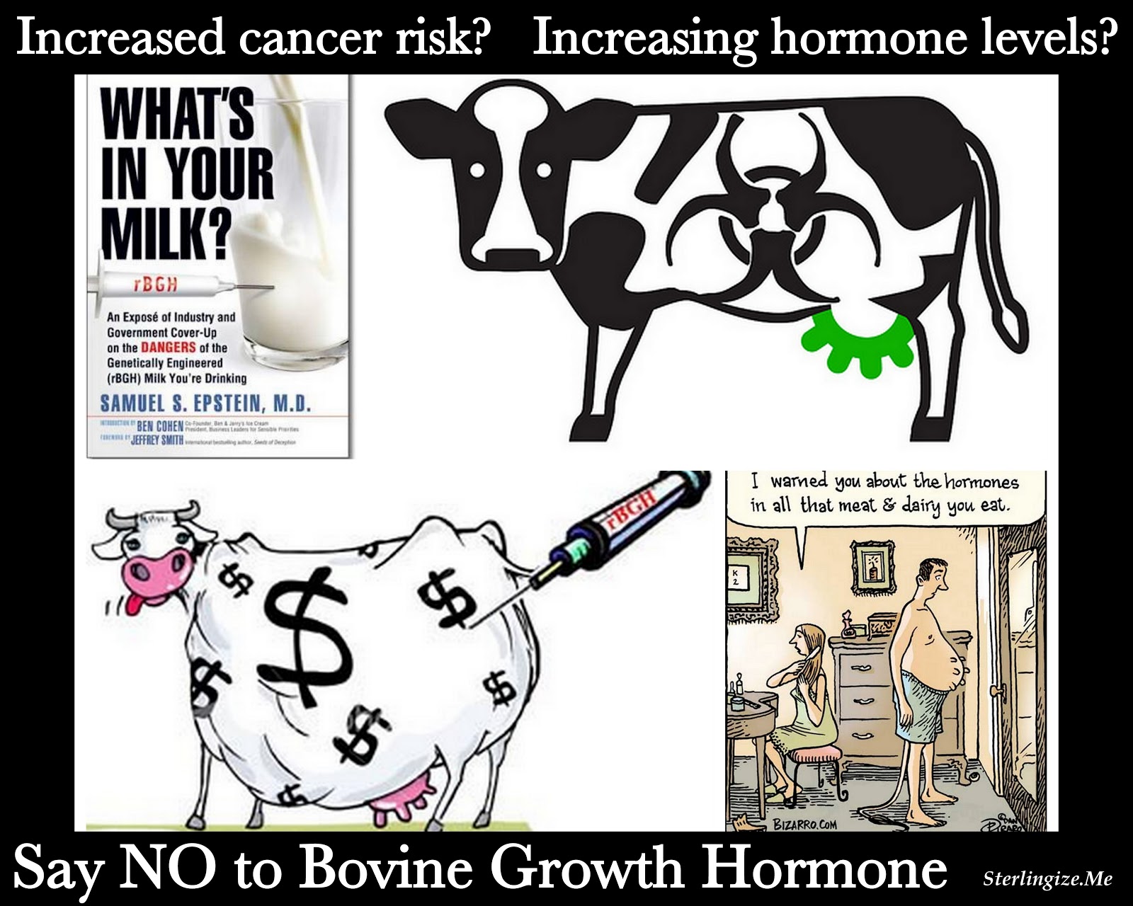 Bovine Growth Hormones